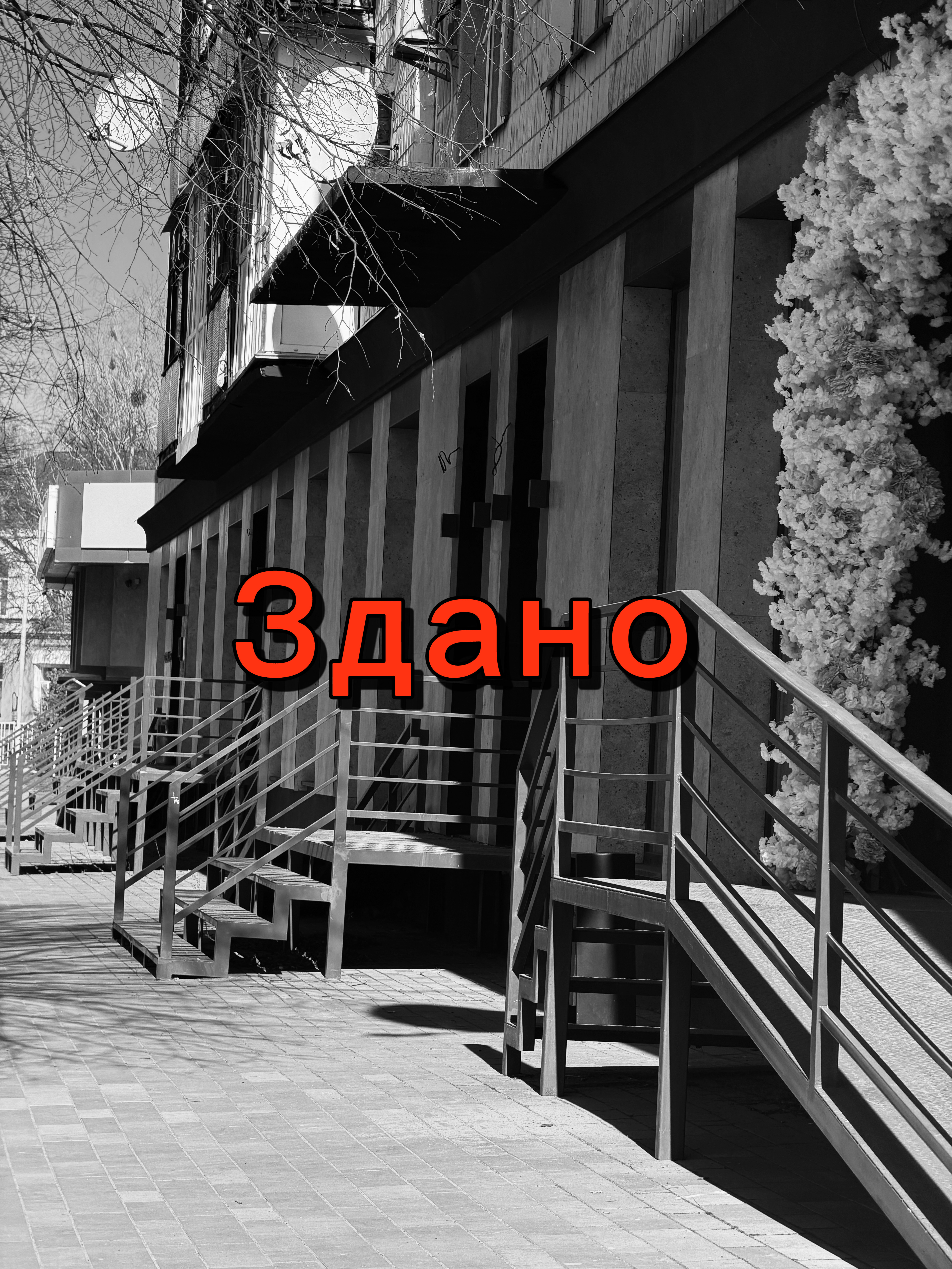 Комерційне приміщення за адресою Новий бульвар 7 у Житомирі